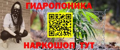 jwh Пенза