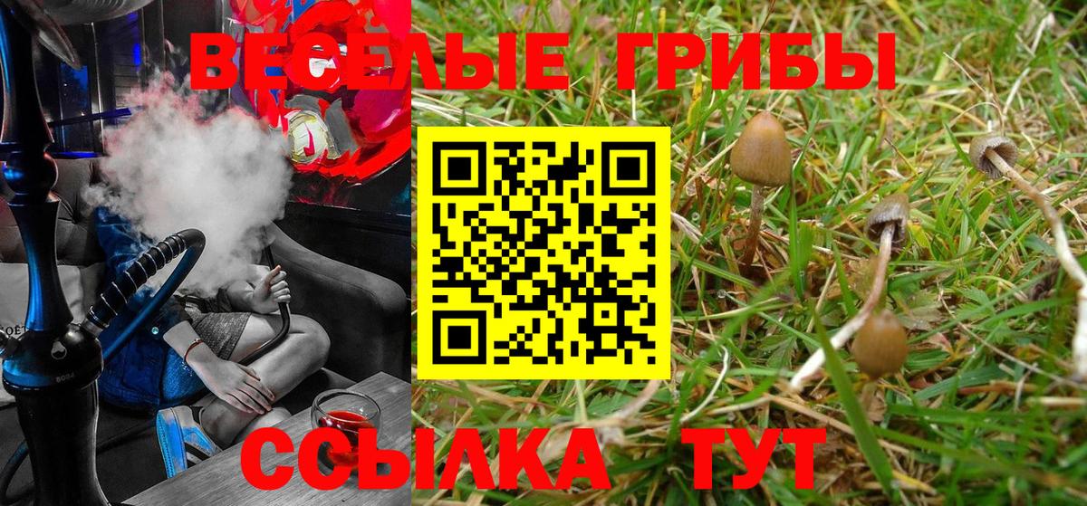 Солнечногорск  Псилоцибиновые грибы MAGIC MUSHROOMS  что такое наркотик  Галлюциногенные грибы Cubensis  Вход с VPN 