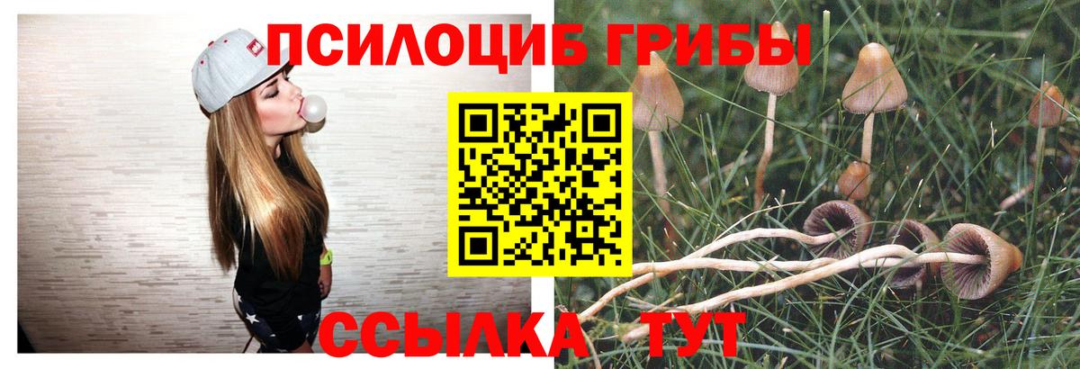 Галлюциногенные грибы ЛСД Солнечногорск